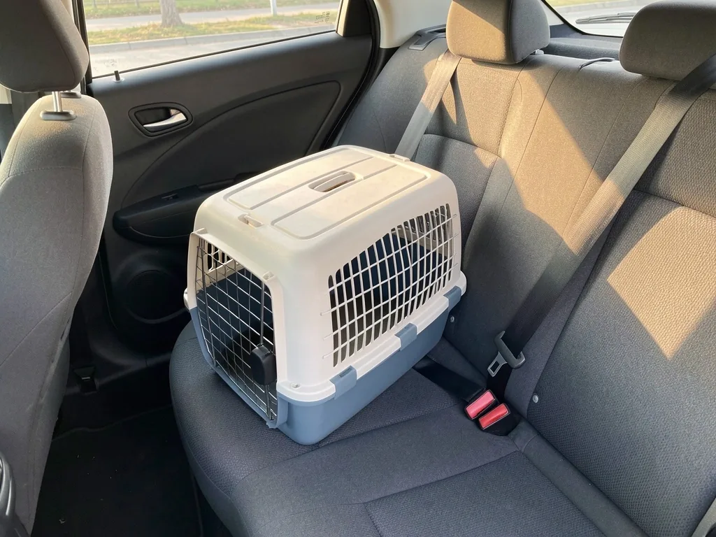 Perro dentro de un canil transportador en el asiento trasero de un auto compartido